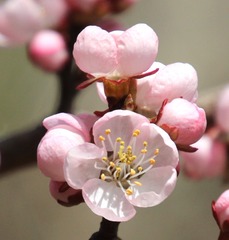 IMG_0054__