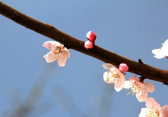 IMG_0013_