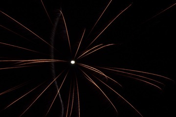 231264