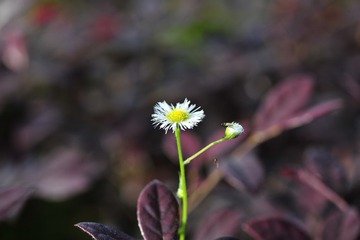 1000160673