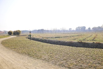 1000025048