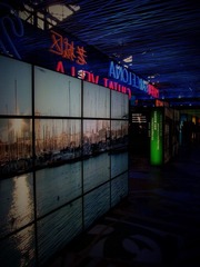 IMG_0584lomo