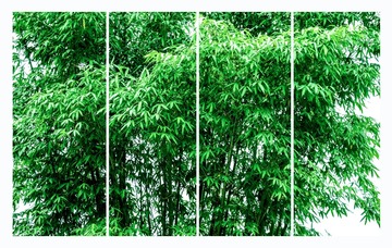 翠屏+麦国明+13680098149