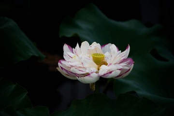 001