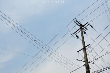 小鸟.jpg