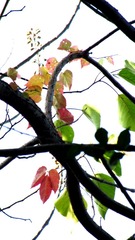 IMG_0058.JPG