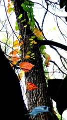 IMG_0059.JPG