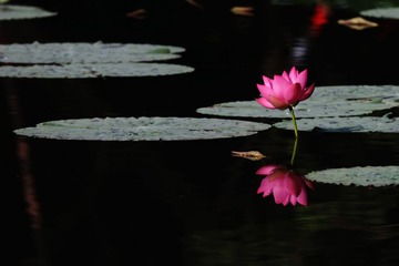 IMG_7191.jpg