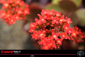 IMG_3340222.jpg