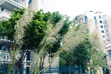 L1002523.jpg