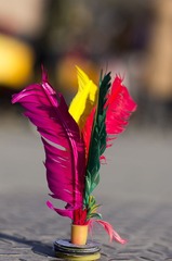 _IGP9487.jpg