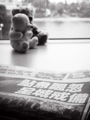 鲇鱼-小熊