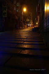 黄岛路