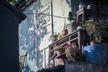 DSC01099.jpg