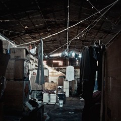 DSC01175.jpg