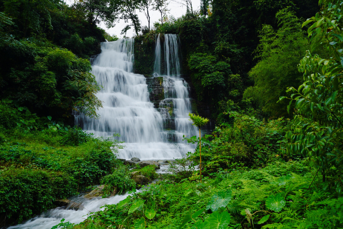 竹林深处有瀑布