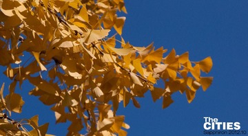 DSC_0067.jpg