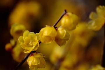IMG_0034.JPG