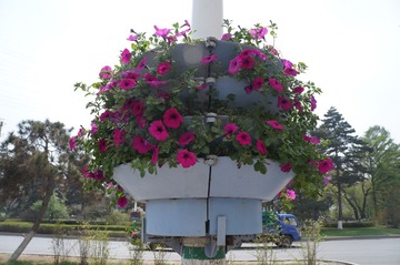 DSC00397.JPG