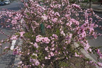 DSC00401.JPG
