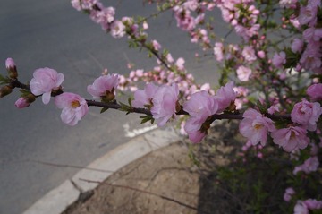 DSC00402.JPG