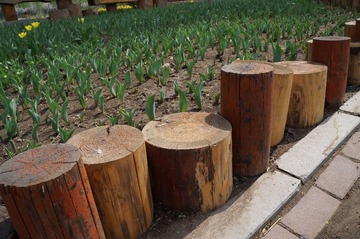 DSC00403.JPG
