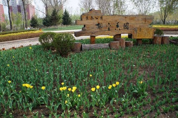 DSC00404.JPG