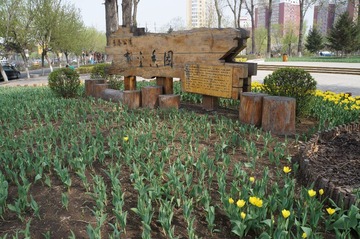 DSC00408.JPG