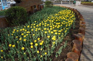 DSC00410.JPG