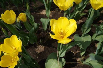 DSC00411.JPG