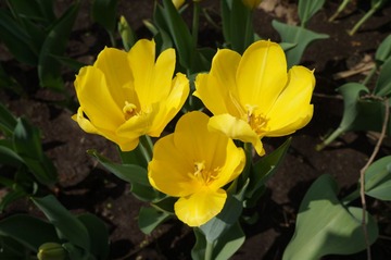 DSC00412.JPG