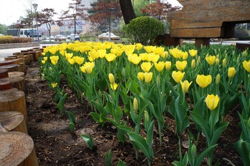 DSC00416.JPG