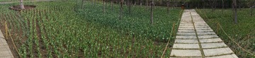 DSC00475.JPG