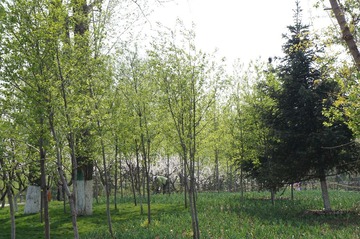 DSC00452.JPG