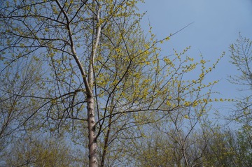 DSC00471.JPG