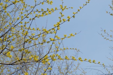 DSC00472.JPG