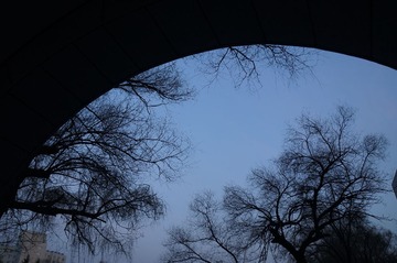 DSC00317.JPG