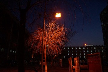DSC00350.JPG