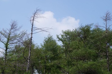 DSC00584.JPG