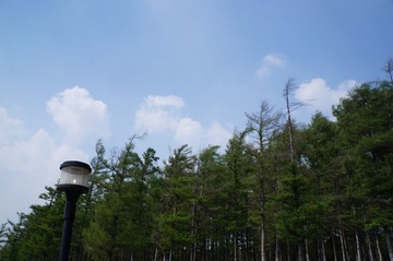 DSC00585.JPG