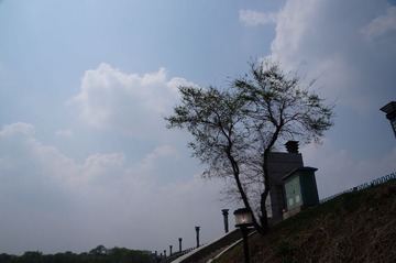 DSC00592.JPG