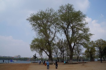 DSC00607.JPG