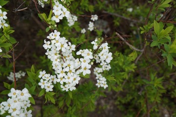 DSC00651.JPG