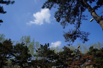DSC00667.JPG