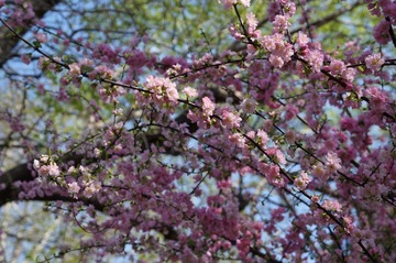 DSC00671.JPG