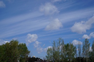DSC00687.JPG