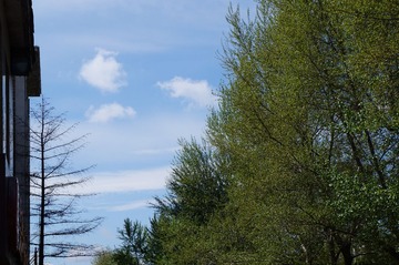 DSC00711.JPG
