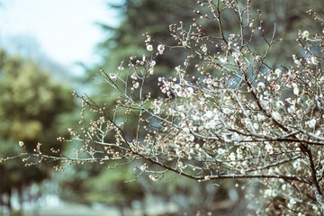 IMG_6847.jpg