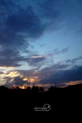 DSC05979.jpg