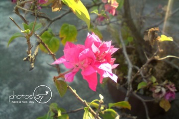 DSC05311.jpg